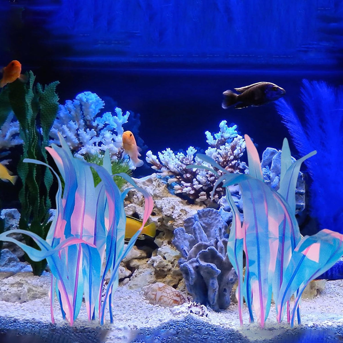 Kaiyuan Dynasty 2pc Silicone Aquarium Plants Artificial Plants for Fish Tank Glowing Kelp Aquarium Plant Decor Fish Tank Plants Simulation Artificial Water Grass,7inch,Blue