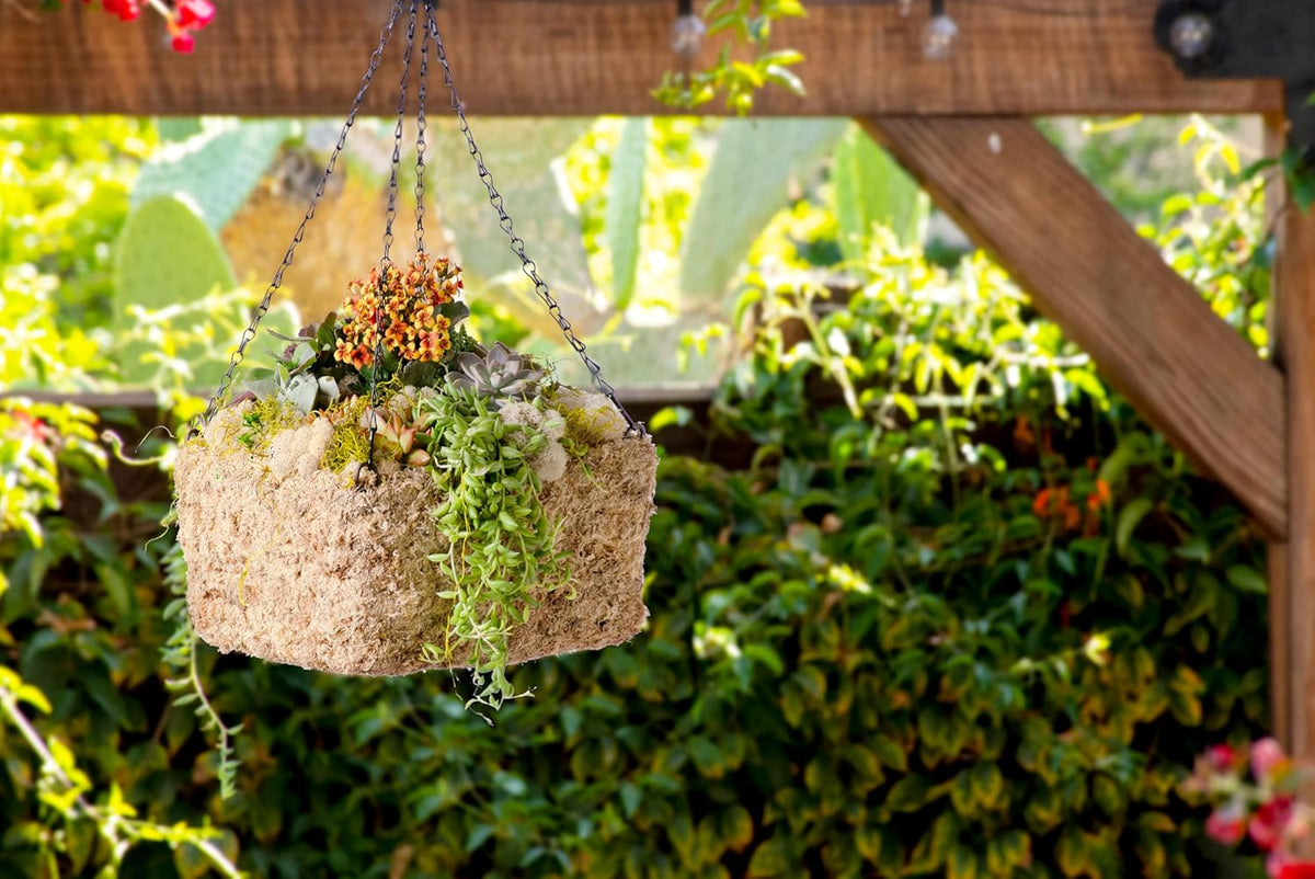 SuperMoss (29249D MossWeave Hanging Basket | Outdoor Hanging Planter with Moss | Decorative Plant Hanger for Porch, Balcony, Garden & Home Décor, Square, Small 10.5” D, Blond