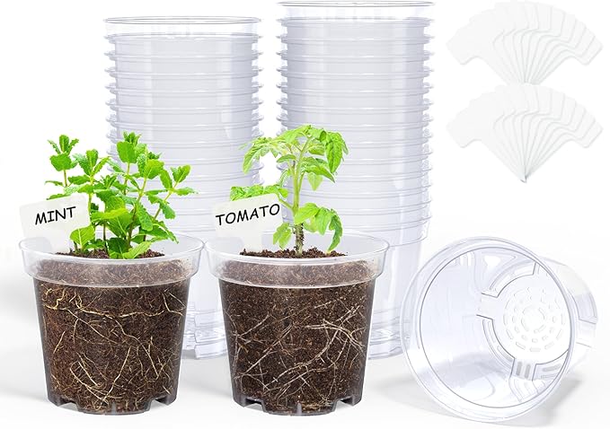 homenote Clear Nursery Pots for Plants,4 Inch Plant Pot for Planting Plastic Seedling with Drainage Holes Seed Starter Flower High Transparency with 20 Labels (30 Pack)