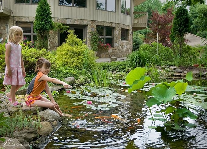 Aquascape Liquid Beneficial Bacteria for Pond and Water Features, 32-Ounce Bottle | 98888