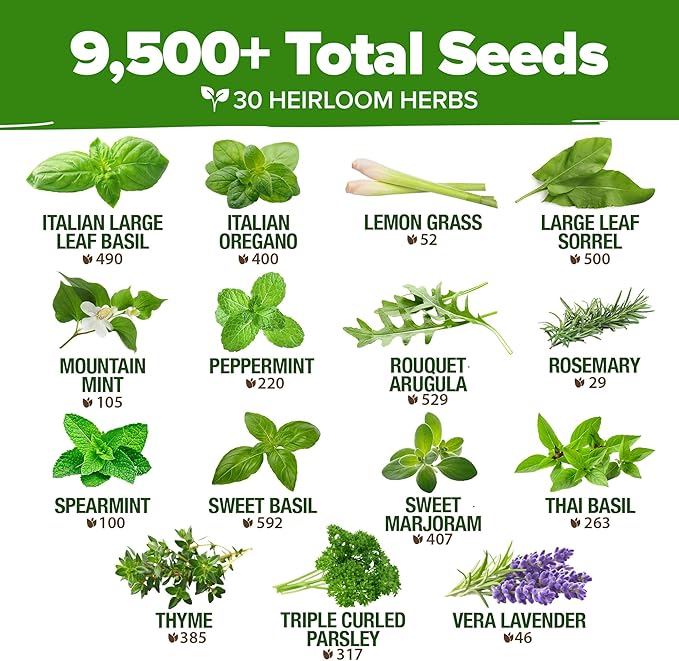HOME GROWN 30 Herb Seeds for Planting 9,500+ Non-GMO Heirloom Seeds | Extra Large Variety Pack Herb Kit – Indoor Outdoor & Hydroponic | Culinary Seed Set | Grow Your Own Herbs | Gardening Gift
