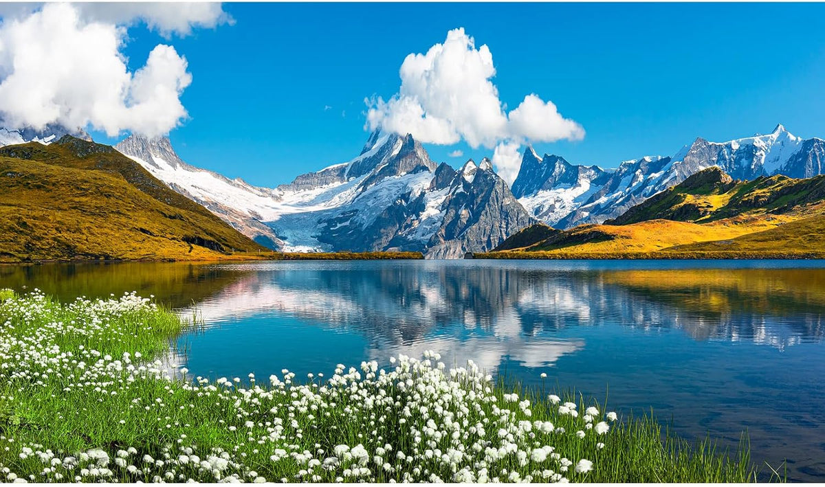 Mountains Lake Aquarium Background Bernese range View Fish Tank Background Switzerland Alps Grindelwald Valley Lake Terrarium Background Fantastic Natural Landscape Aquarium Fish Tank Decors 60x24in