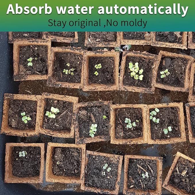 200Cells Seedling Start Trays with Drain Holes,20pcs Peat Pots Seedling Pots Biodegradable,Seedling Starter Kit,Organic Germination Plant Starter Trays(200xLabels,2xTransplant Tools,1xSpray Bottle)