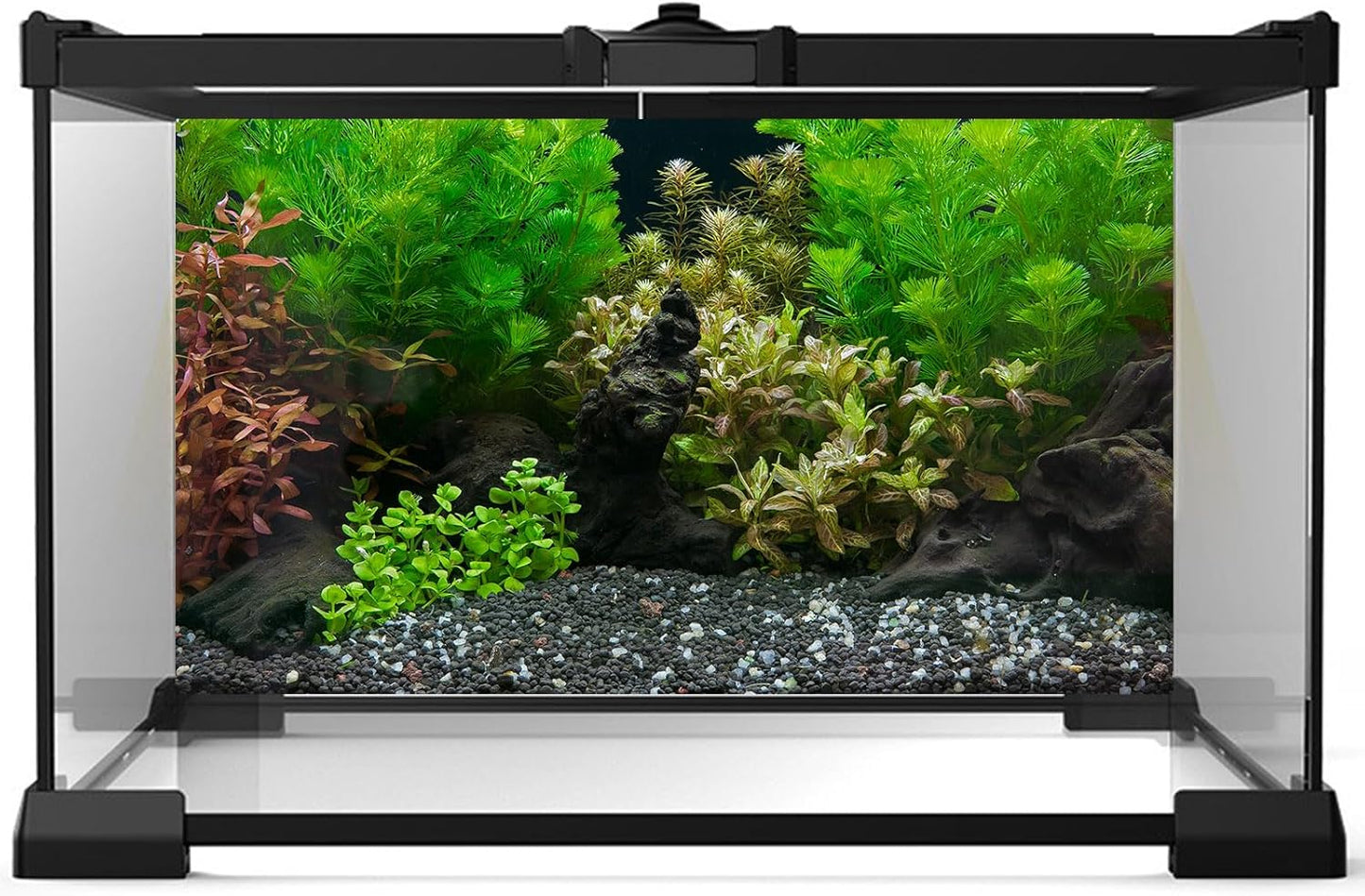 Aquarium Background Exquisite Underwater Grass Leaves with Pebbles Fish Tank Background Vivid Green Aquatic Plant Terrarium Background Stone Dead Woods Leaves Fish Tank Wallpaper 48x24in