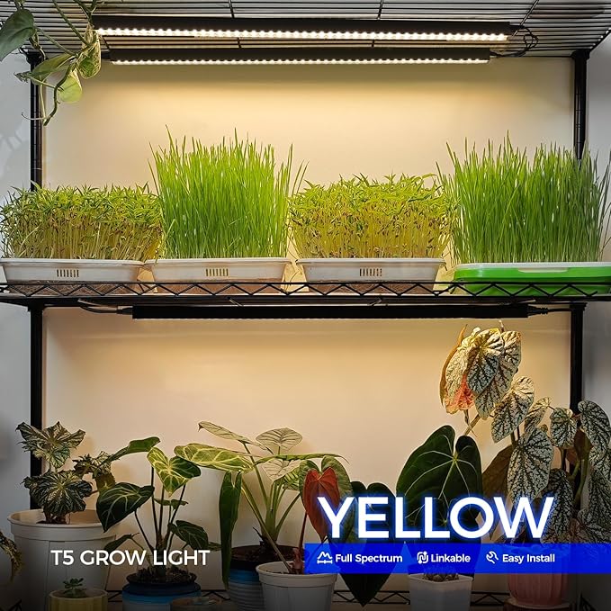 Barrina T5 Grow Lights for Indoor Plants, 2FT 40W (4 X 10W) Magnetic Installation, Full Spectrum Grow Light Strip with Individual Switch, Grow Lamp with Black Cover, Plug and Play, Yellow, 4 Packs
