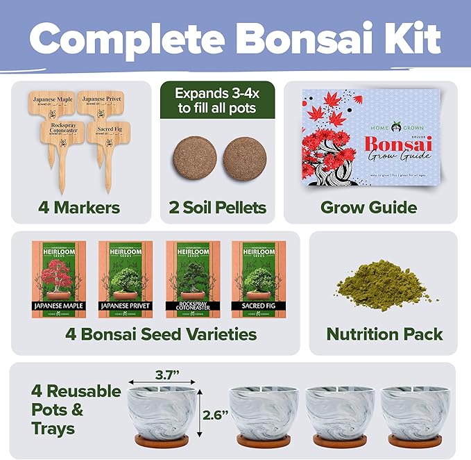 HOME GROWN Bonsai Tree Kit - Premium Ceramic Starter Kit - 4 Variety of Bonsai - Unique Gift for Men and Women Gardeners
