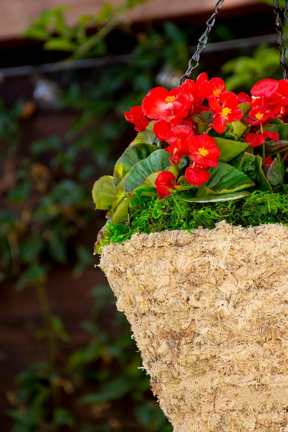 SuperMoss (29247D MossWeave Hanging Basket | Outdoor Hanging Planter with Moss | Decorative Plant Hanger for Porch, Balcony, Garden & Home Décor, Pyramid, Small 12.5” D, Blond