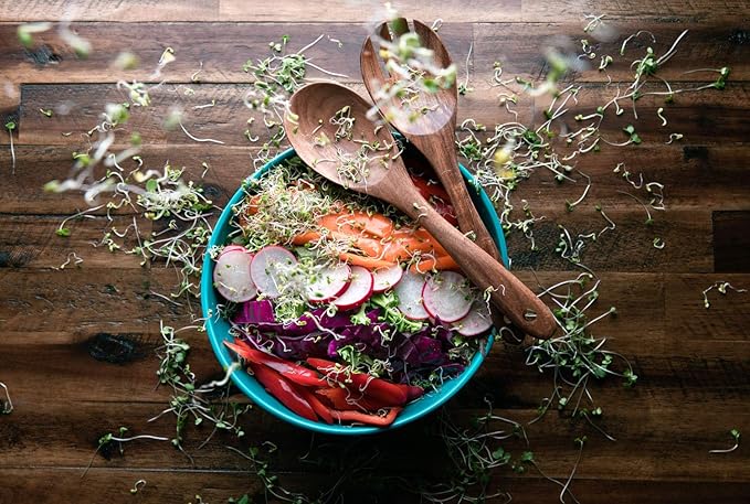 Broccoli Seeds for Sprouting & Microgreens | Waltham 29 Variety | Non GMO & Heirloom Seeds | 8 oz Resealable Bag | Rainbow Heirloom Seed Co.