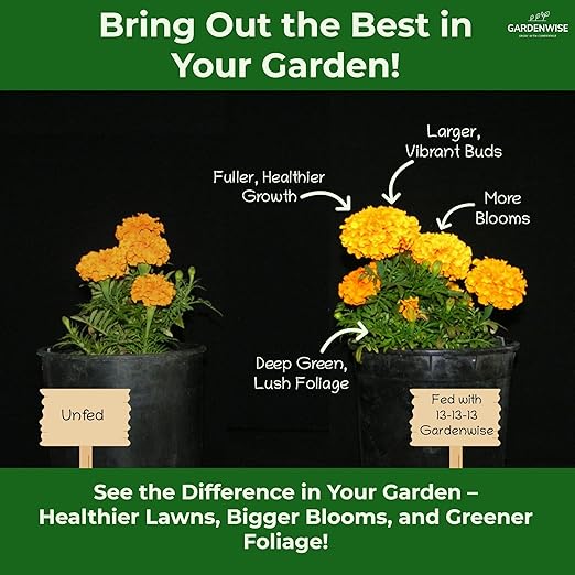 13-13-13 Slow Release Granular Fertilizer – All Purpose Plant Food 13 13 13 for Outdoor Grass, Vegetables, Roses, Flowers, Shrubs, Trees. Lawns, Gardens, Potted Plants (3 quarts)