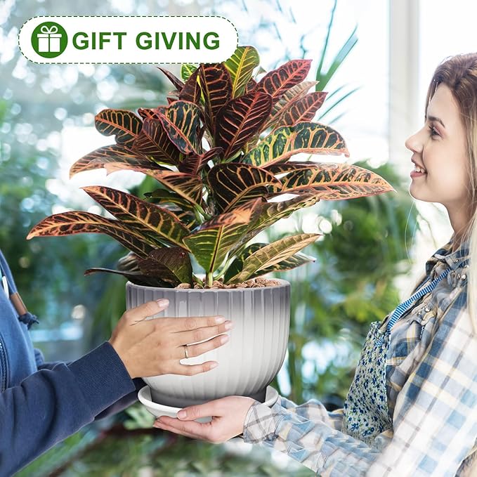 8 Inch Plant Pot, Ceramic Planter with Drainage and Saucer, Ceramic Pots for Plants, Indoor Plant pots,Ceramic Flower pots(Gray + White, Plants NOT Included)