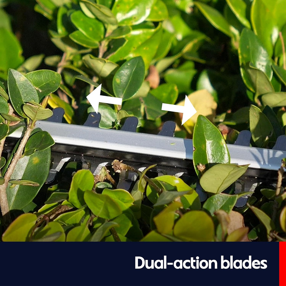 QWD 20v Cordless Hedge Trimmer Powered by Battery(Battery & Charger Included) with 20-Inch Blade & 40-Min Runtime,2200 cuts/Min,Lightweight Aluminum Body for Home Garden