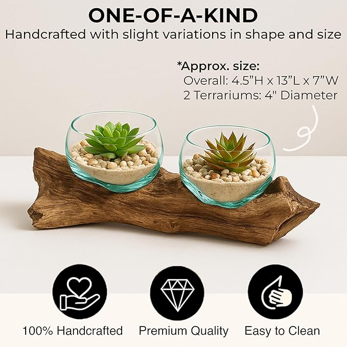 Cape Craftsmen Set of 2 Terrariums | Hand-Blown Blue Tinted Bubble Glass On Natural Teak Driftwood Terrarium | Home Décor Indoor Planter with Stand | Pot for Succulent and Plants