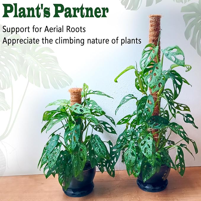 2 Pack 21 Inch Moss Poles, Stackable Moss Pole for Plants Monstera, 37 Inch Tall Moss Poles for Climbing Plants Indoor, Coir Totem Plant Support Stakes Stand for Potted Plants, Pothos