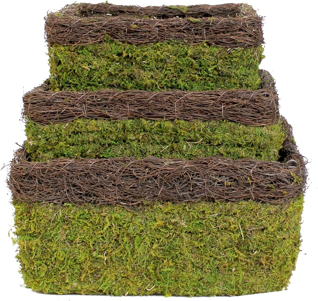 SuperMoss (29327 MossWeave Hanging Basket | Outdoor Hanging Planter with Moss | Decorative Plant Hanger for Porch, Balcony, Garden & Home Décor, Square with Wicker Rim, Set of 3 (S/M/L), Green