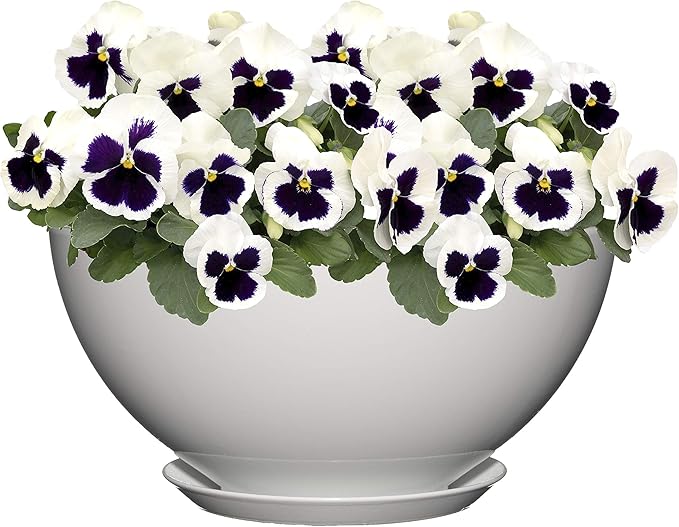 Classic Home and Garden Premiere Collection Planter, Rosie 10", Stark White