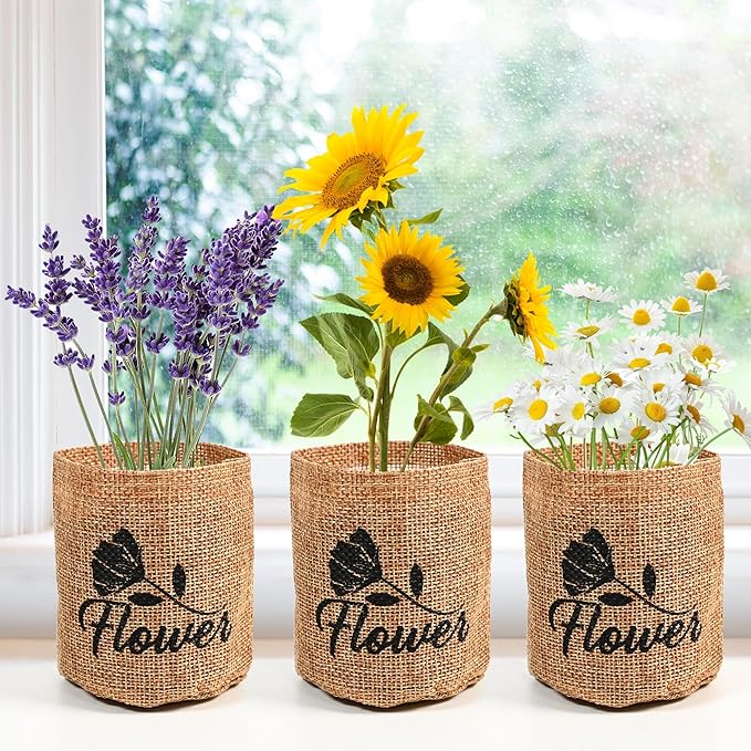 5 Kit - Growing into Shasta Daisy, Cornflower, Sunflower, Zinnia, Lavender for Indoor Outdoor Garden DIY Gifts