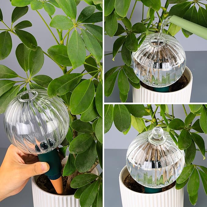 23 oz Extra Large Plant Watering Globes Top Fill, Clear Glass Water Bulbs with Terracotta Spikes Stake, Vacation Slow Release Self Watering Planter Insert, Automatic Drip Device, 1 Pack