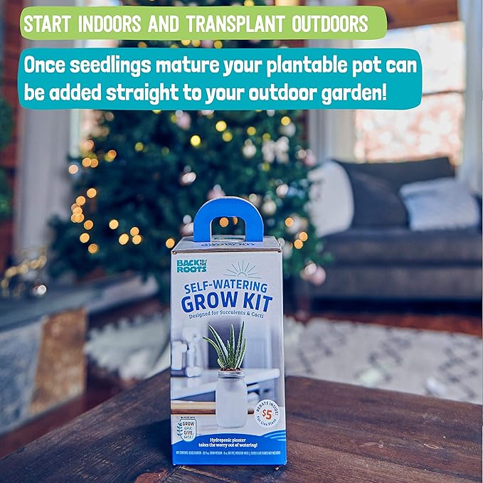 Back to the Roots Self Watering Grow Kit - Glass Hydroponic Planters for Succulents and Cacti Self-Watering System