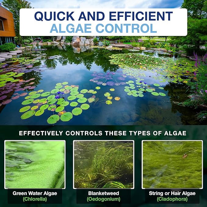 Aquascape Algaecide for Ponds, Waterfalls, and Fountains – Large-Scale Algae Control, 2.5 Gallons / 9.46 L, 96053