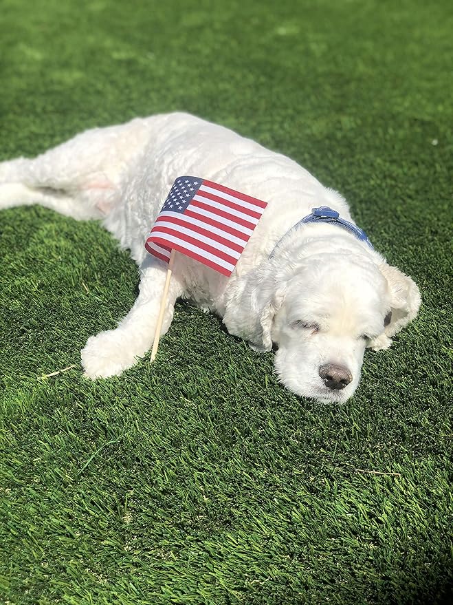 American Flags on Stick - Handheld Spearhead US Flag for 4th of July, Memorial Day Event Decorations - Patriotic Decor for Indoors & Yard - Wooden Stick, Cotton Fabric - (4"X6" - 50 Pack)