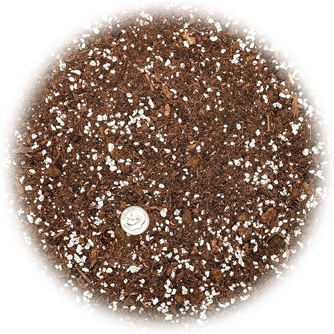 House Plant and Tropical Plant Potting Soil - Re-Potting Soil for All Types of Indoor House Plants - 3 Quart Bag