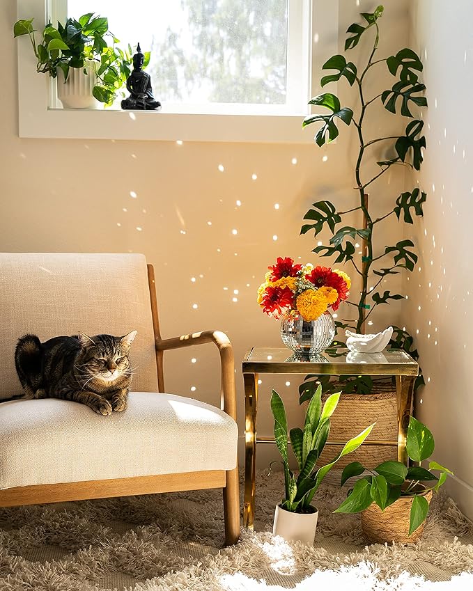 Hanging Disco Ball Planter 8" - with Acrylic Stand and Macrame Plant Hanger - Home Décor, Room Décor, Mirror Disco Planter, Disco Decor (6" with Black Hanger, Flat Base)