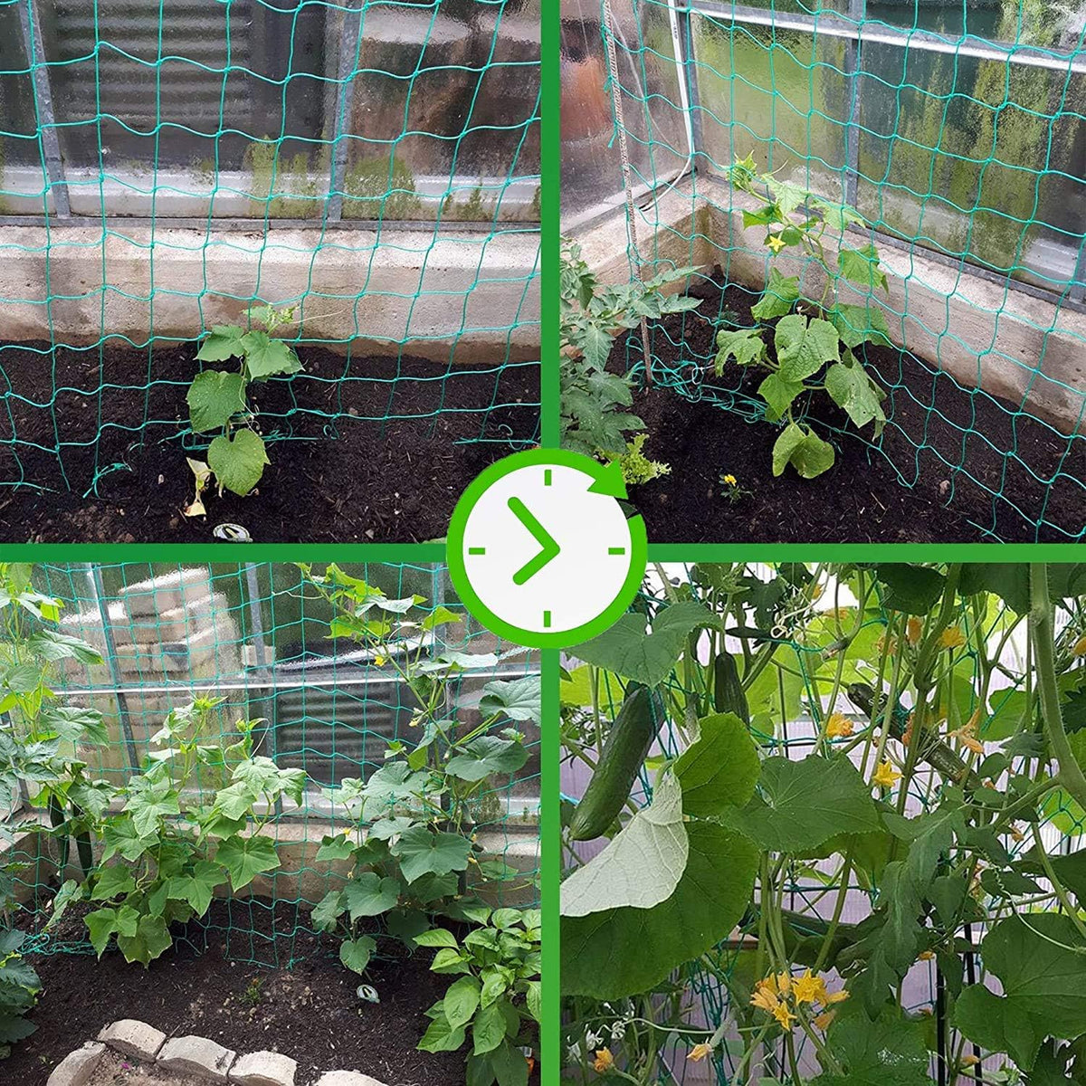 Trellis Netting for Climbing Plants - Heavy Duty Garden Trellis Netting for Cucumber, Vine, Fruits & Vegetables Tomato Plants Trellis Net, Climbing Vining Plants (1-Pack 3.3' x 6.6'Ft)