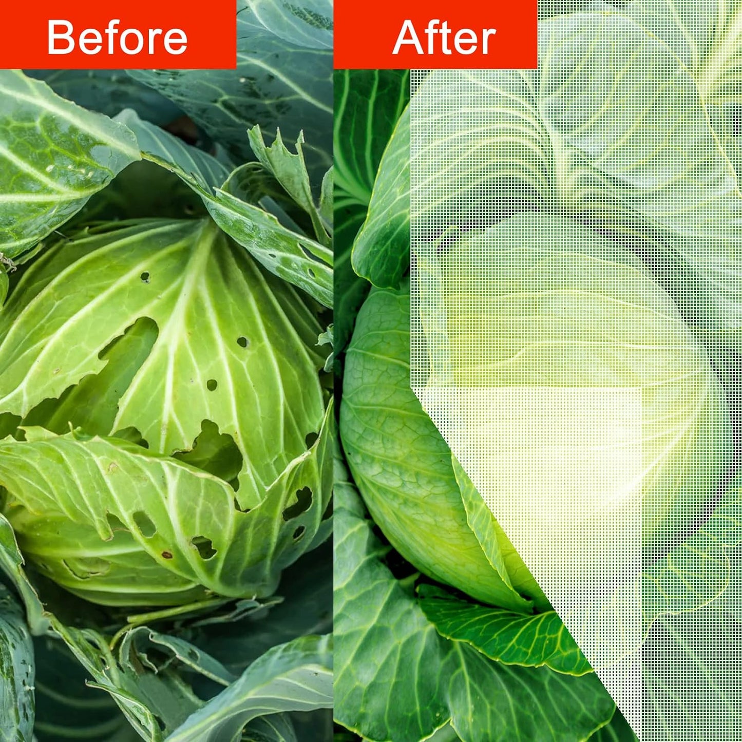 Agfabric Garden Netting 10'x50' Insect Pest Barrier Bird Netting for Garden Protection,Row Cover Mesh Netting for Vegetables Fruit Trees and Plants,White