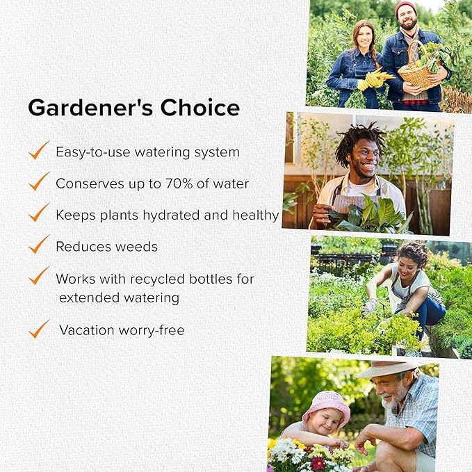 Classic Olla Watering Pot Mini – Set of 2 | Holds 12 Ounces | Plant Watering Bulb Olla Watering System with Terra Cotta Irrigation Pots | Self Watering While on Vacation | The Olla Company