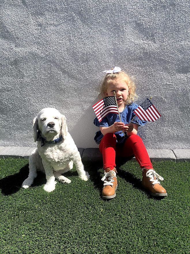 American Flags on Stick - Handheld Spearhead US Flag for 4th of July, Memorial Day Event Decorations - Patriotic Decor for Indoors & Yard - Wooden Stick, Cotton Fabric (4"X6" - 25 Pack)